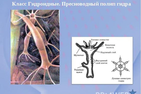 Ссылка на сайт кракен в тор браузере