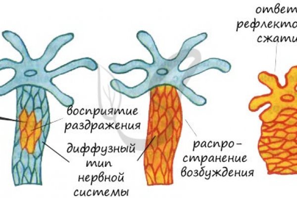 Где взять ссылку на кракен