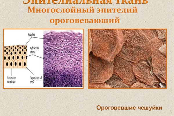 Гидра сайт в тор браузере ссылка