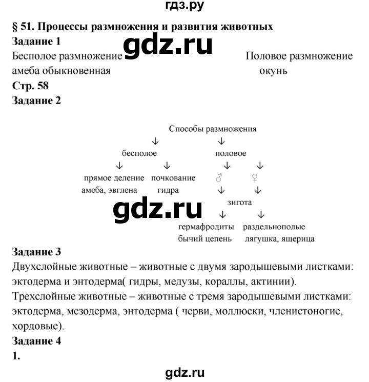 Как зарегистрироваться на кракене